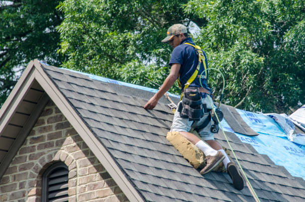 Best Storm Damage Roof Repair  in Decatur, MS